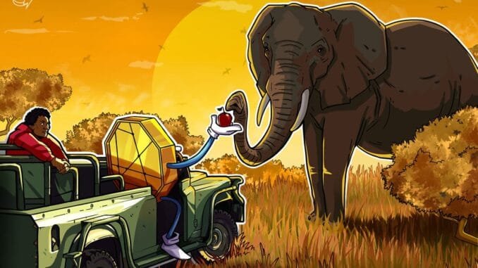 Blockchain Philanthropy Fails Africa’s Real-World Test