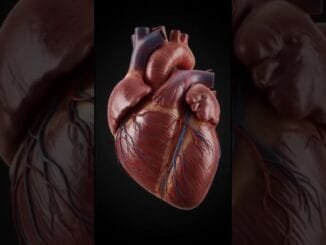 10-Minute Daily Workout for Beginners  #healthtips#ai#workout