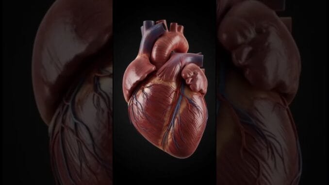 10-Minute Daily Workout for Beginners  #healthtips#ai#workout