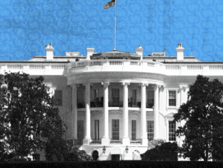 Crypto.com Reveals $1 Million in CRO Fighter Bonuses for White House UFC Fight