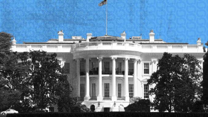 Crypto.com Reveals $1 Million in CRO Fighter Bonuses for White House UFC Fight