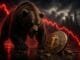 bitcoin bear