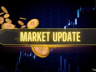 Bitcoin Loses Key Support Levels, HYPE Sets New ATH, Markets Brace for New Fed Chair: Weekly Recap