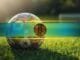 Bitcoin Could Bottom During the 2026 World Cup