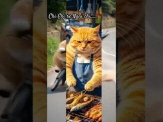 # #funny #viralvideo #cat #comedy #viral #youtubeshorts #ytshorts #ai #news #nature