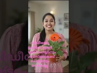 AI jerabera കെയർ ടിപ്സ് #plants #feedshorts #garden #beginners