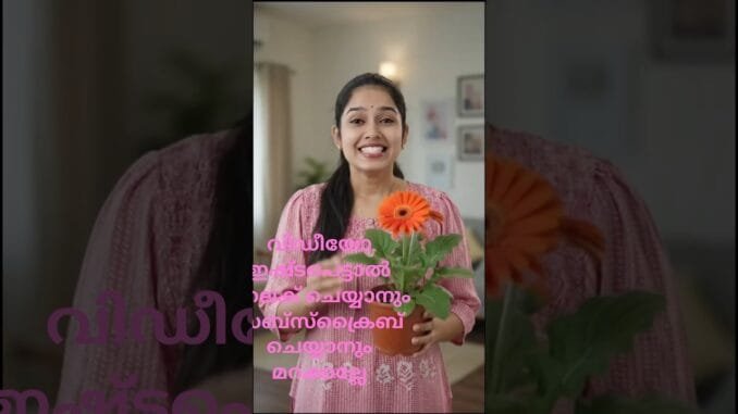 AI jerabera കെയർ ടിപ്സ് #plants #feedshorts #garden #beginners