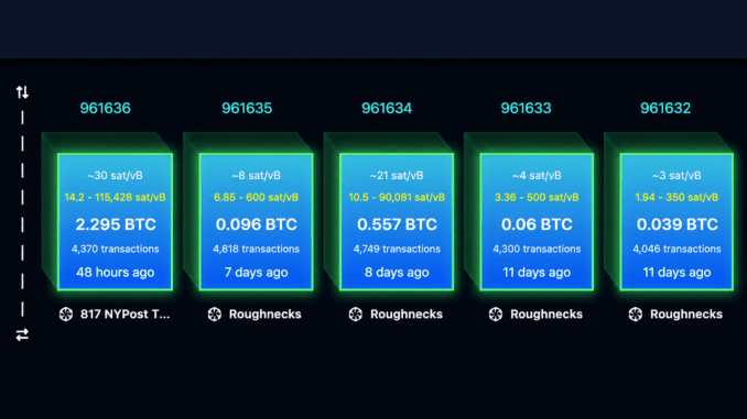 Replay Attack Alarm Grows as BIP-110 Backers Brand Bitcoin 'Spamcoin'