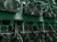 Bitcoin Miners Pocket $1B in August, but Halving Pain Still Lingers