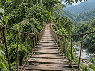 Deep in Mexico’s Jungle, Police Found 300 Crypto Miners Humming