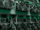 Ethiopia’s Bitcoin Mining Boom Just Ran Into a Water Problem