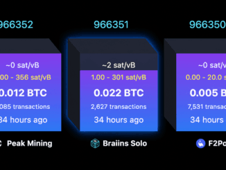 Solo Bitcoin Miner Hits $244K Jackpot After Nearly 40-Day Drought