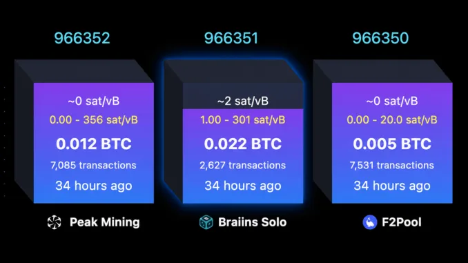 Solo Bitcoin Miner Hits $244K Jackpot After Nearly 40-Day Drought Solo Bitcoin Miner Hits $244K Jackpot After Nearly 40-Day Drought