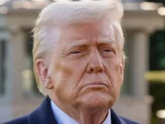 Trump's $5,000 Stimulus Could Send Bitcoin Higher, Pompliano Says