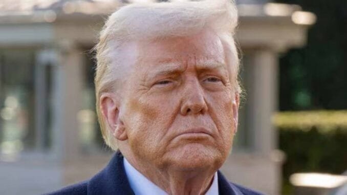 Trump's $5,000 Stimulus Could Send Bitcoin Higher, Pompliano Says Trump's $5,000 Stimulus Could Send Bitcoin Higher, Pompliano Says