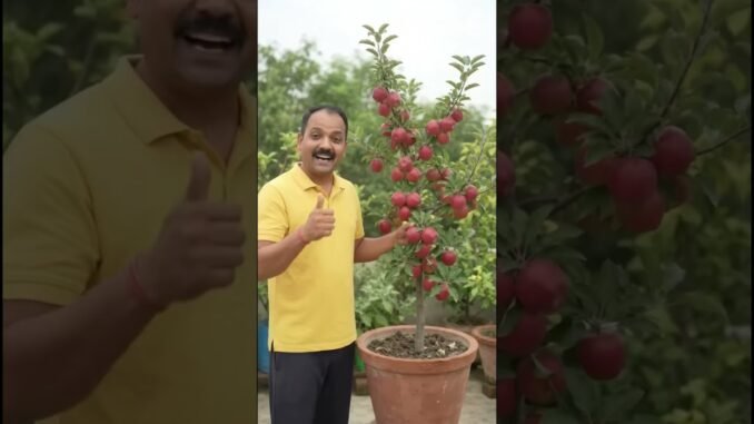 देशी जुगाड़ 🤯#shorts #viralvideo #trending #facts #ai #news #farming #viralupdate #viralpost #fyp #yt