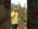 देशी जुगाड़ 🤯#shorts #viralvideo #trending #facts #ai #news #farming #viralupdate #viralpost #fyp #yt
