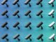 MapQuest Now Shows Drivers Where Flock Cameras Are Watching