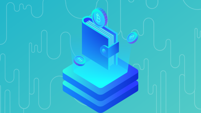 What Is a Hardware Wallet? Crypto Cold Storage Explained